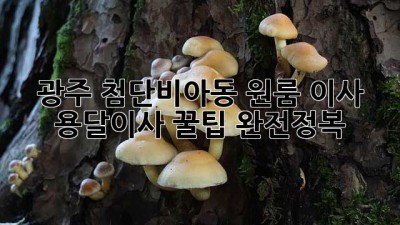 광주 첨단/비아동 원룸 이사, 용달이사 꿀팁 완전정복!