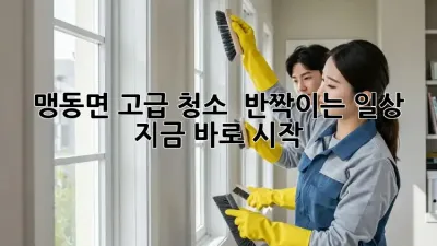 💎 맹동면 고급 청소, ✨ 반짝이는 일상! 지금 바로 시작! 🏡
