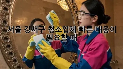 서울 강서구 청소업체, 빠른 대응이 필요할 때!